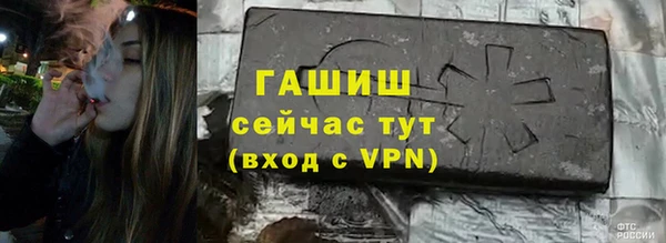 амф Гусь-Хрустальный