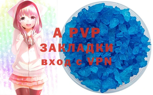 амф Гусь-Хрустальный