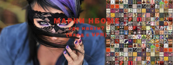 амф Гусь-Хрустальный