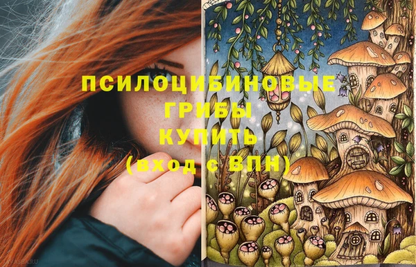 меф VHQ Гусев